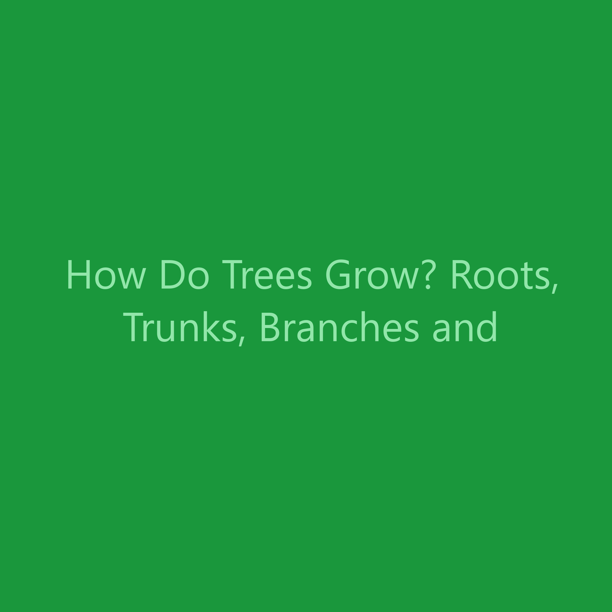 How Do Trees Grow? Roots, Trunks, Branches and Leaves Explained