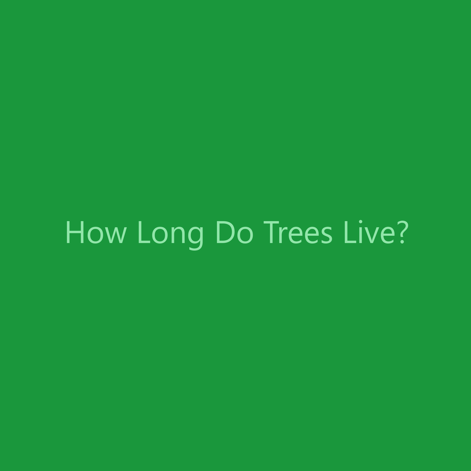 How Long Do Trees Live?