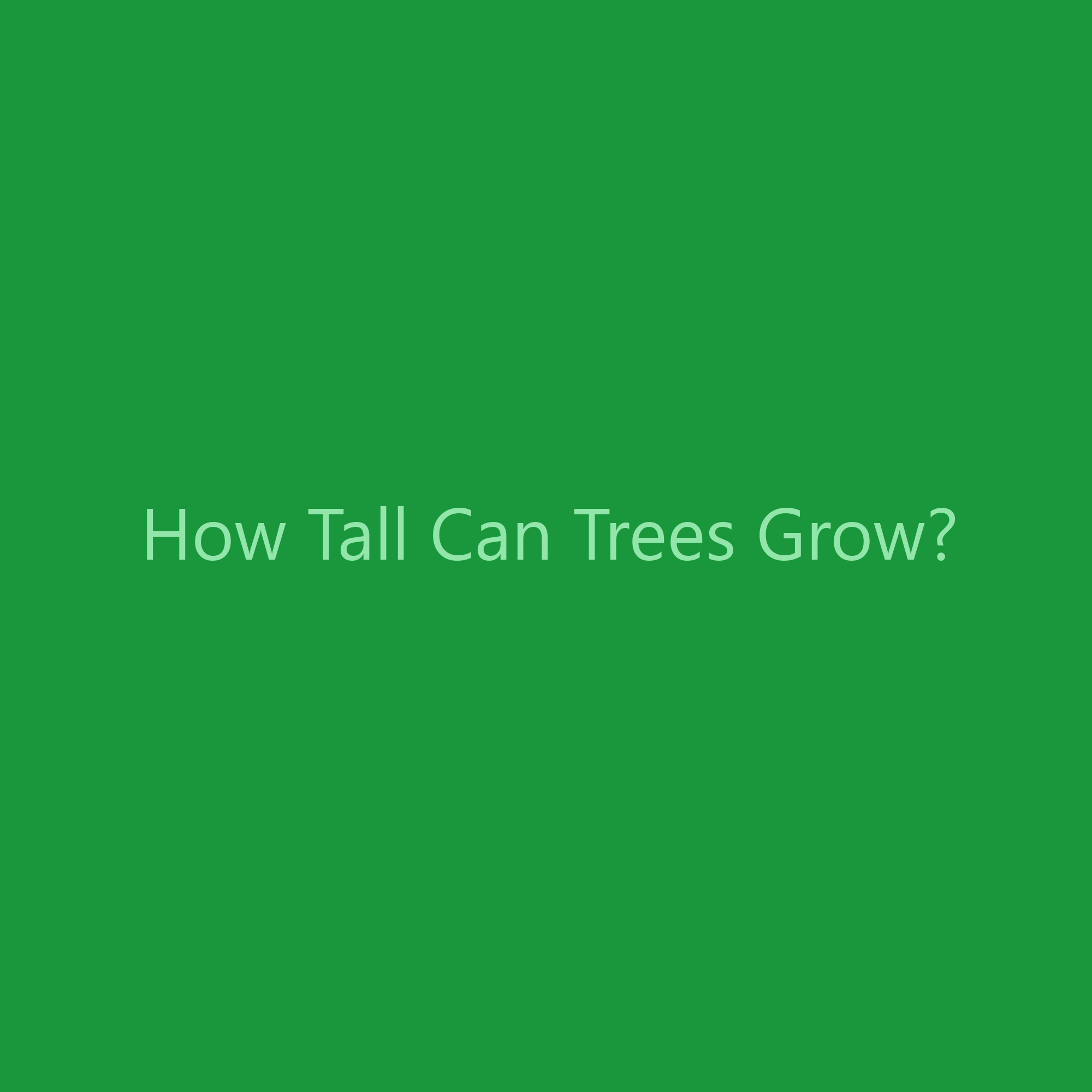 How Tall Can Trees Grow?